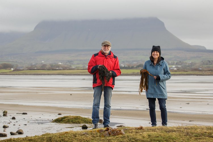 Neantog Sligo Food Tour